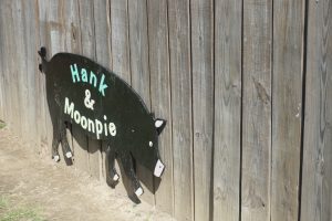 Pig Sign